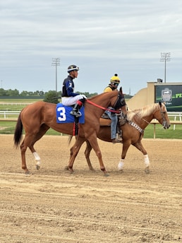 Two jockeys riding horses on a racetrack. The jockey on the left is wearing a blue and white outfit with a number 3 on the horse, while the other jockey is wearing a yellow and black outfit. The environment appears to be a racing venue with a clear sky and some greenery in the background.