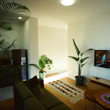 A modern living room decorated with tall indoor plants and minimalist furniture.