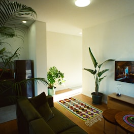 Modern living room with natural wood and green plants.