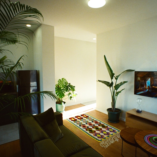 Modern, minimalistic living room with natural light and air purifier near a plant