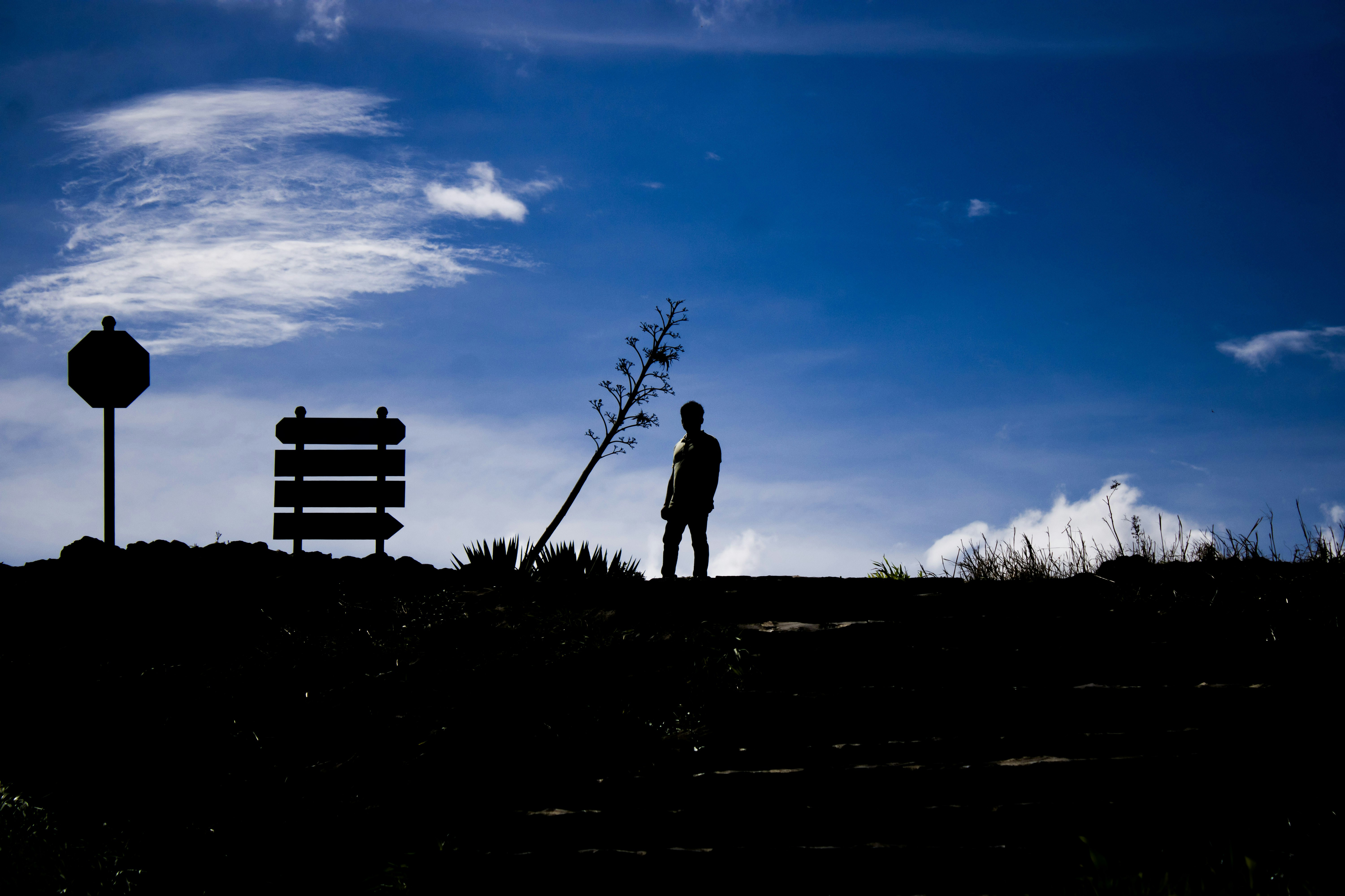 A silhouette of a person standing at a crossroads, with one path clearly labeled 'Justice' and another 'Corruption' (or similar symbolic representation), depicting a critical choice.