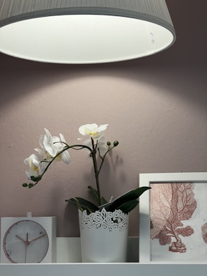 Artificial white orchids displayed in a modern glass pot