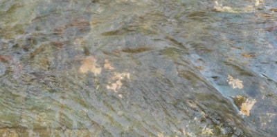 Rippling water flows over a rocky streambed. The surface captures light, creating a shimmering effect, while submerged stones vary in color and shape beneath the gentle current.