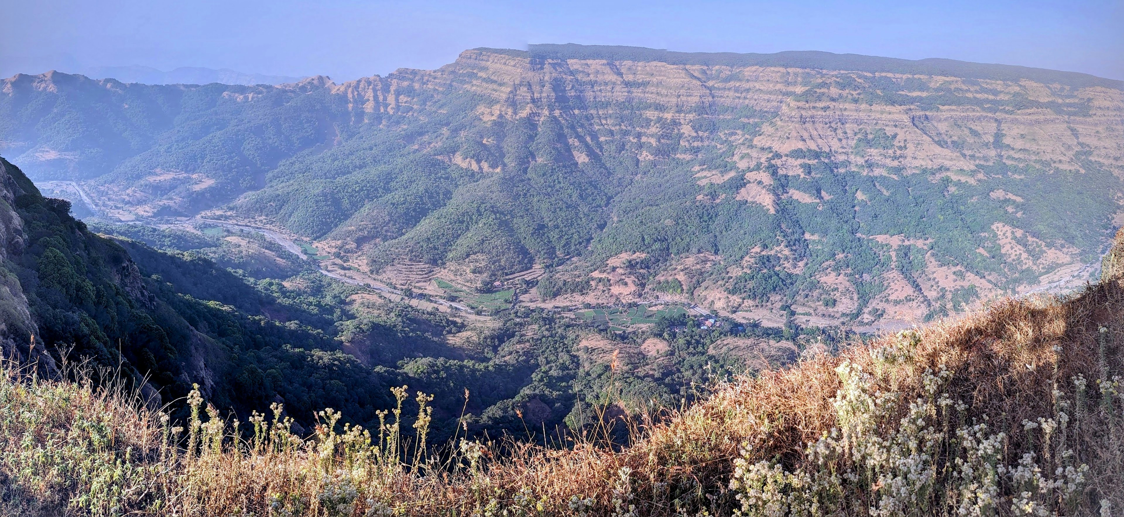 Photo by prathibhakm