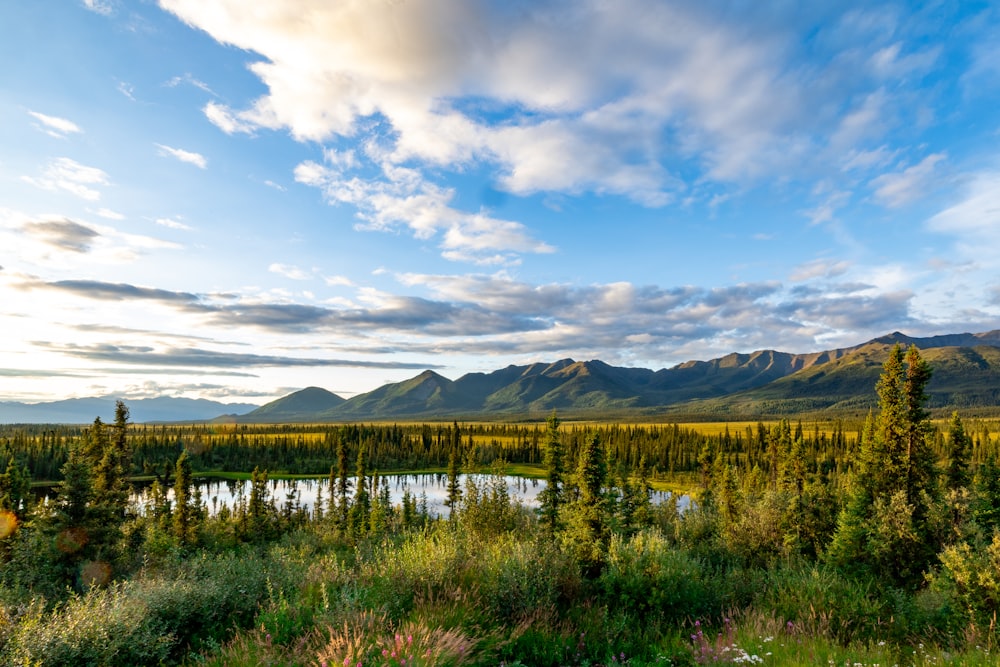 a lake surrounded by trees and mountains under a cloudy sky