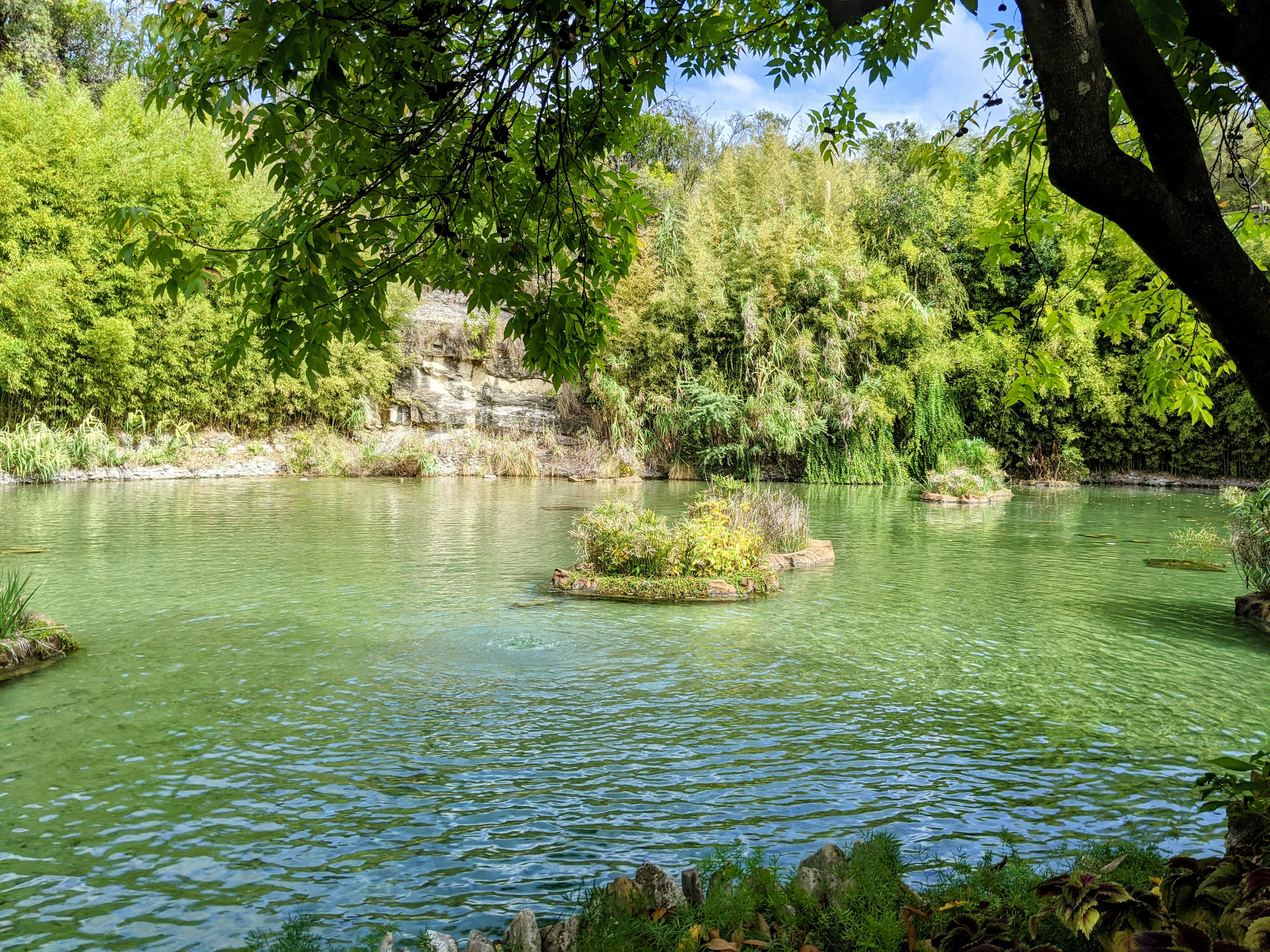 a lake surrounded by lush green trees and bushes