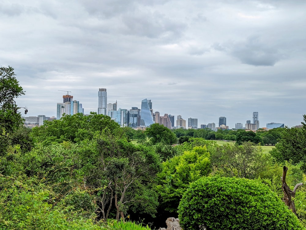 a view of a city from a distance