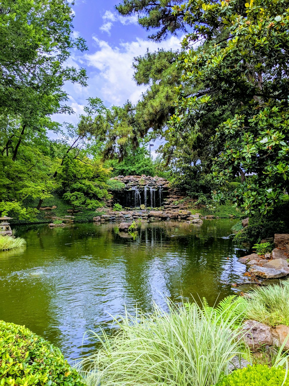 a pond with a waterfall in the middle of it