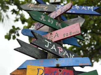 a sign post with many different colored signs on it