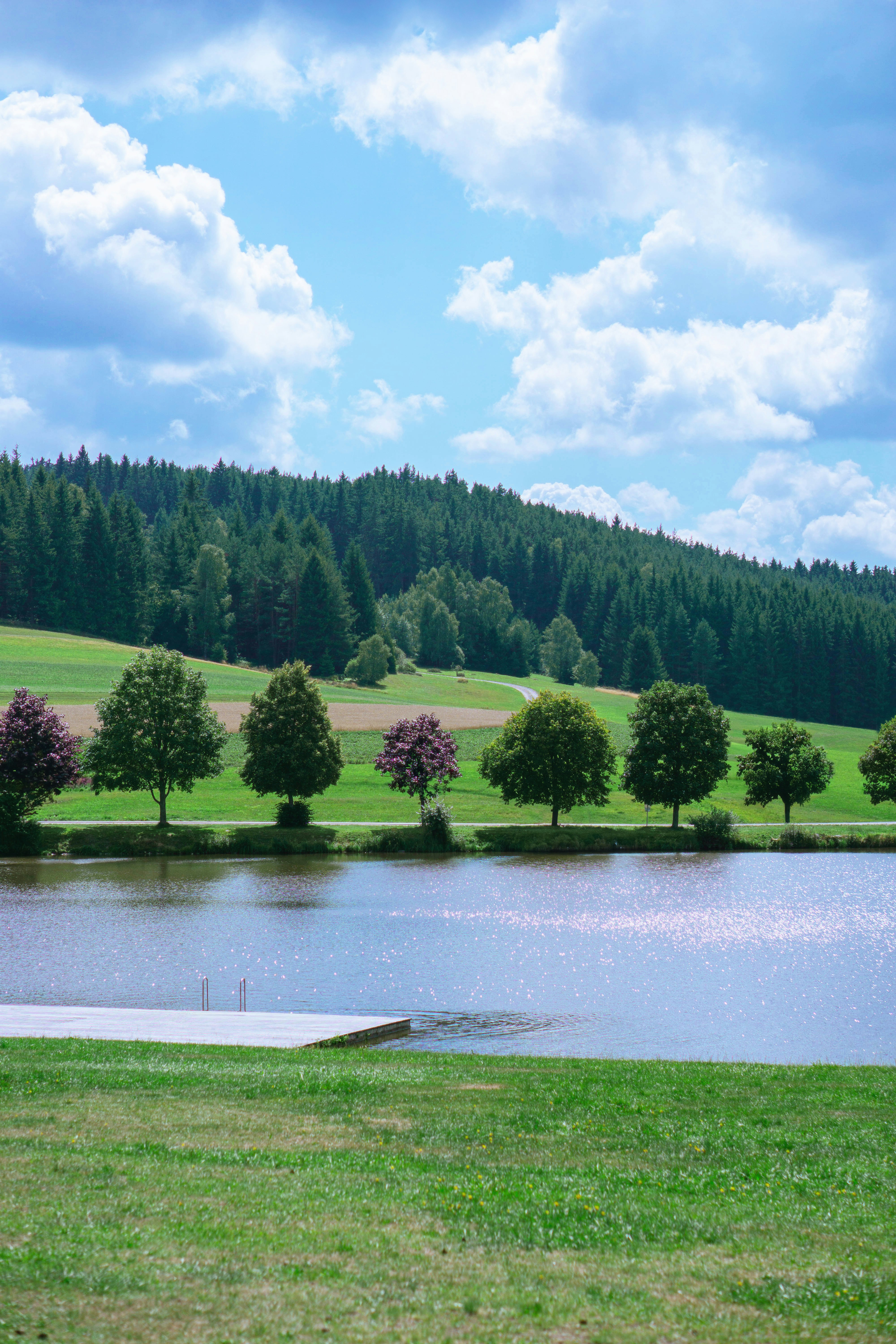 a large body of water surrounded by a lush green hillside