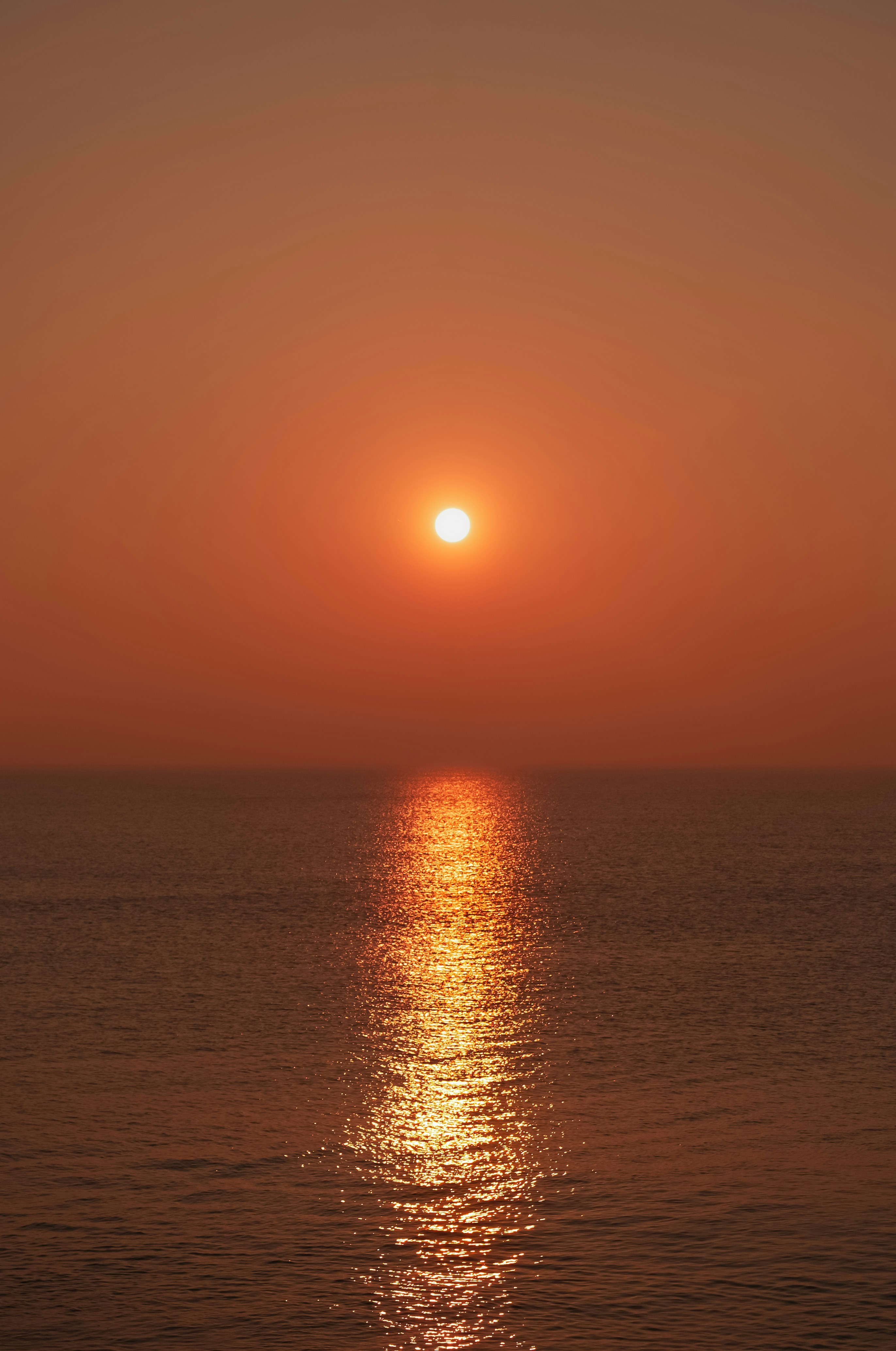 Photo by hattrick1996