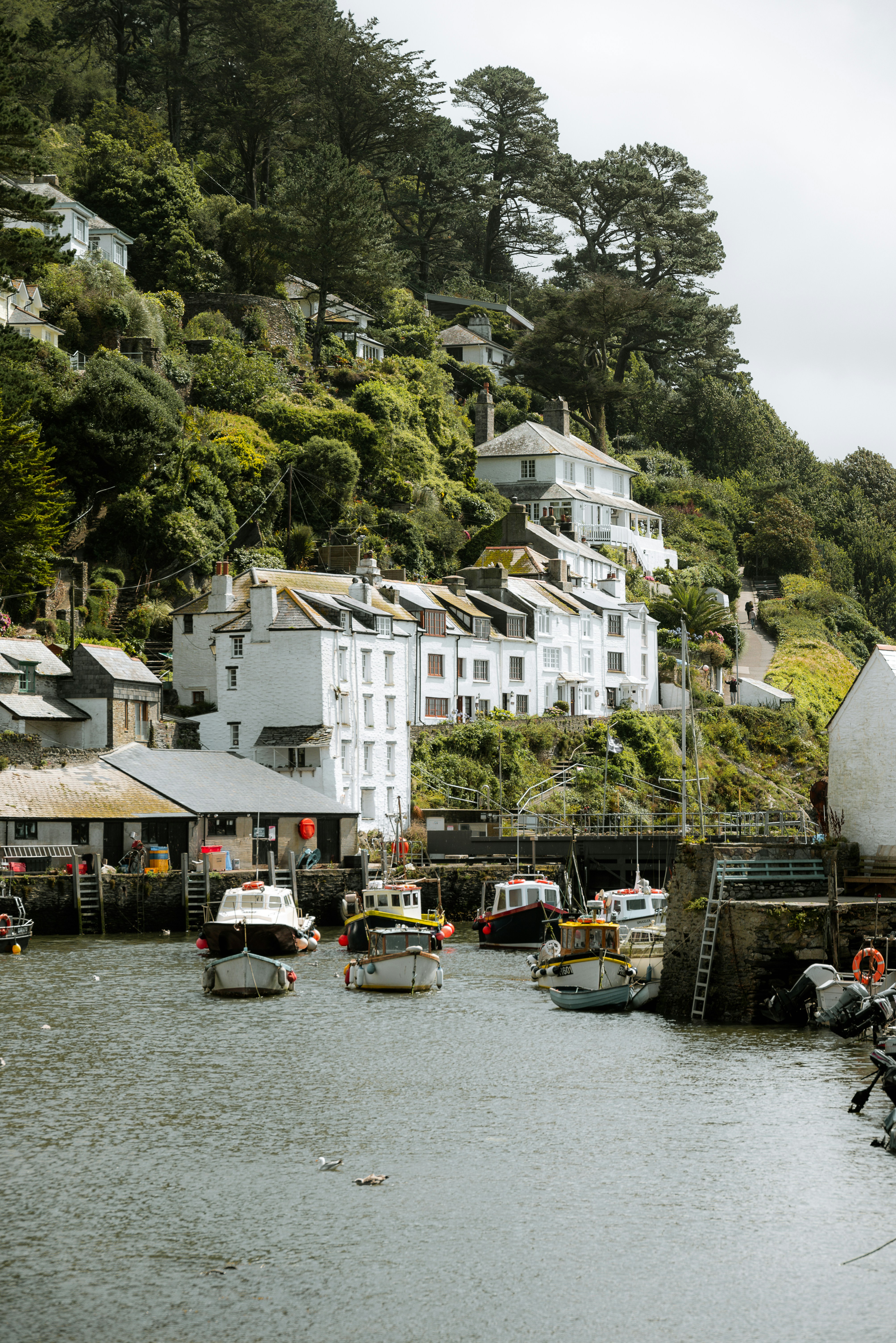 Ein Haufen Boote, die im Wasser sind