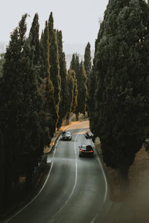 a couple of cars driving down a road next to trees