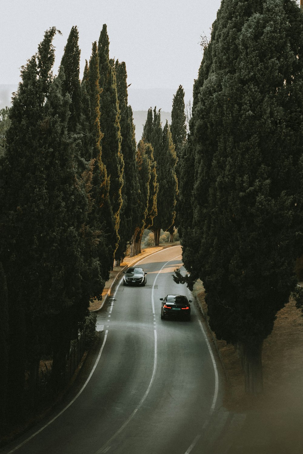 a couple of cars driving down a road next to trees