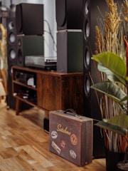 The image features a cozy room corner adorned with large speakers and a wooden cabinet housing audio equipment. A vintage suitcase decorated with stickers is placed on the floor, showcasing the word 'Satchmo.' Ornamental plants add a touch of greenery, complementing the warm tones of the wooden flooring.