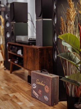 The image features a cozy room corner adorned with large speakers and a wooden cabinet housing audio equipment. A vintage suitcase decorated with stickers is placed on the floor, showcasing the word 'Satchmo.' Ornamental plants add a touch of greenery, complementing the warm tones of the wooden flooring.