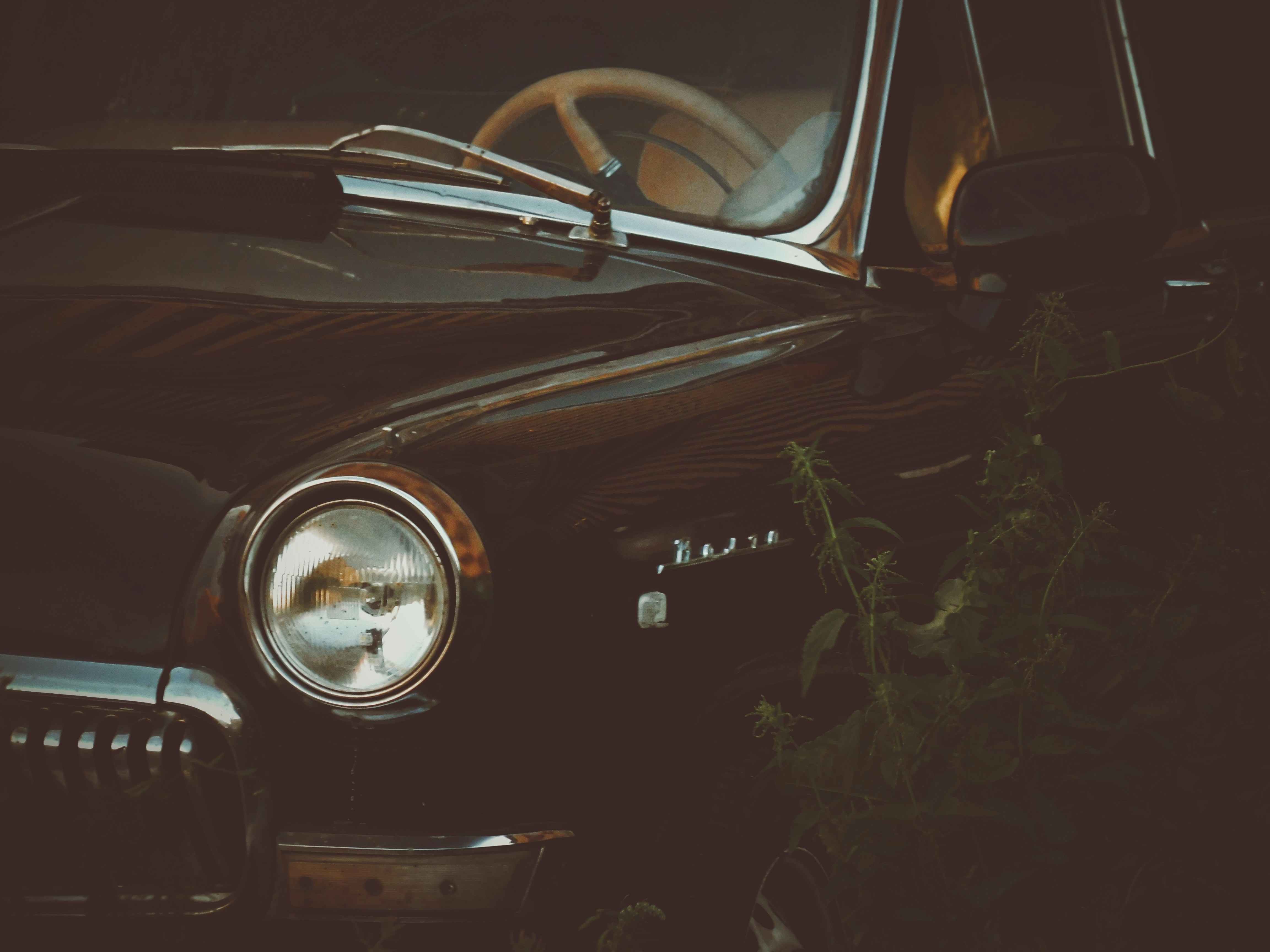 Photo by elena_bocharova