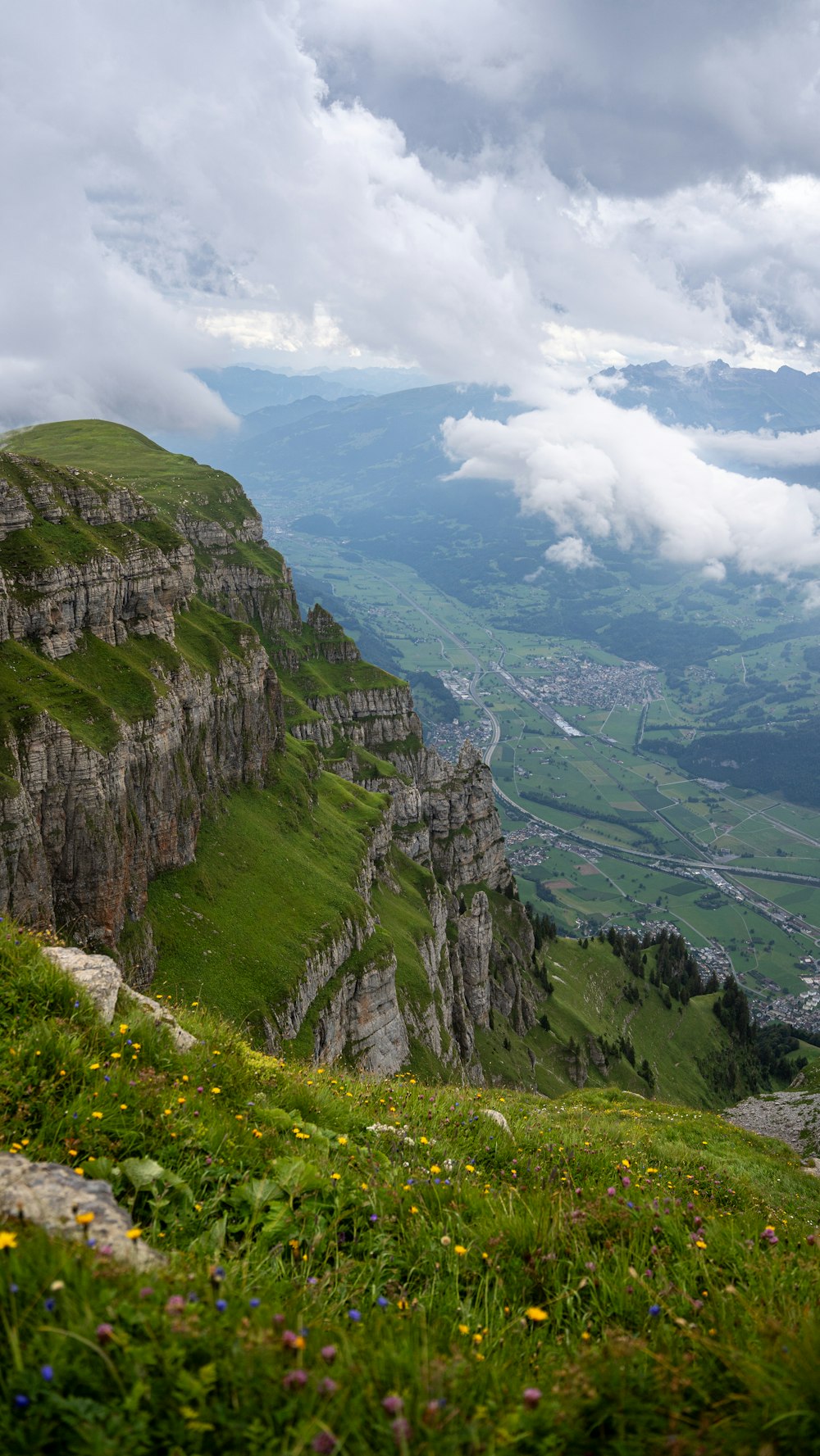 a view of a valley with a mountain in the background