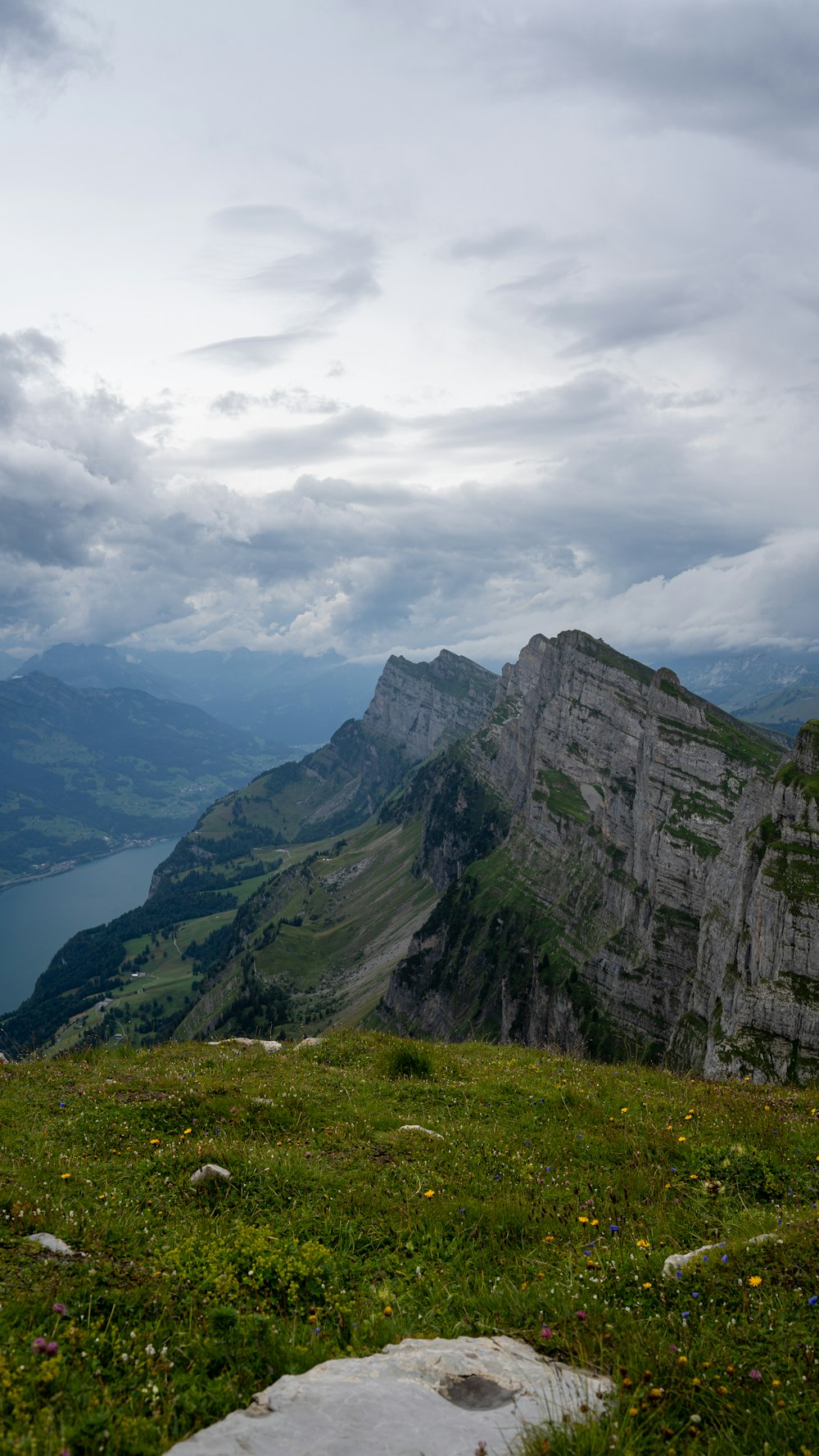 a grassy field with a mountain in the background