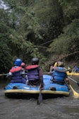 A group of people wearing helmets and life jackets are seated in a blue inflatable raft on a river. The surrounding environment is lush with dense green foliage, suggesting a forested area. Some individuals are holding paddles, indicating they are engaging in rafting.