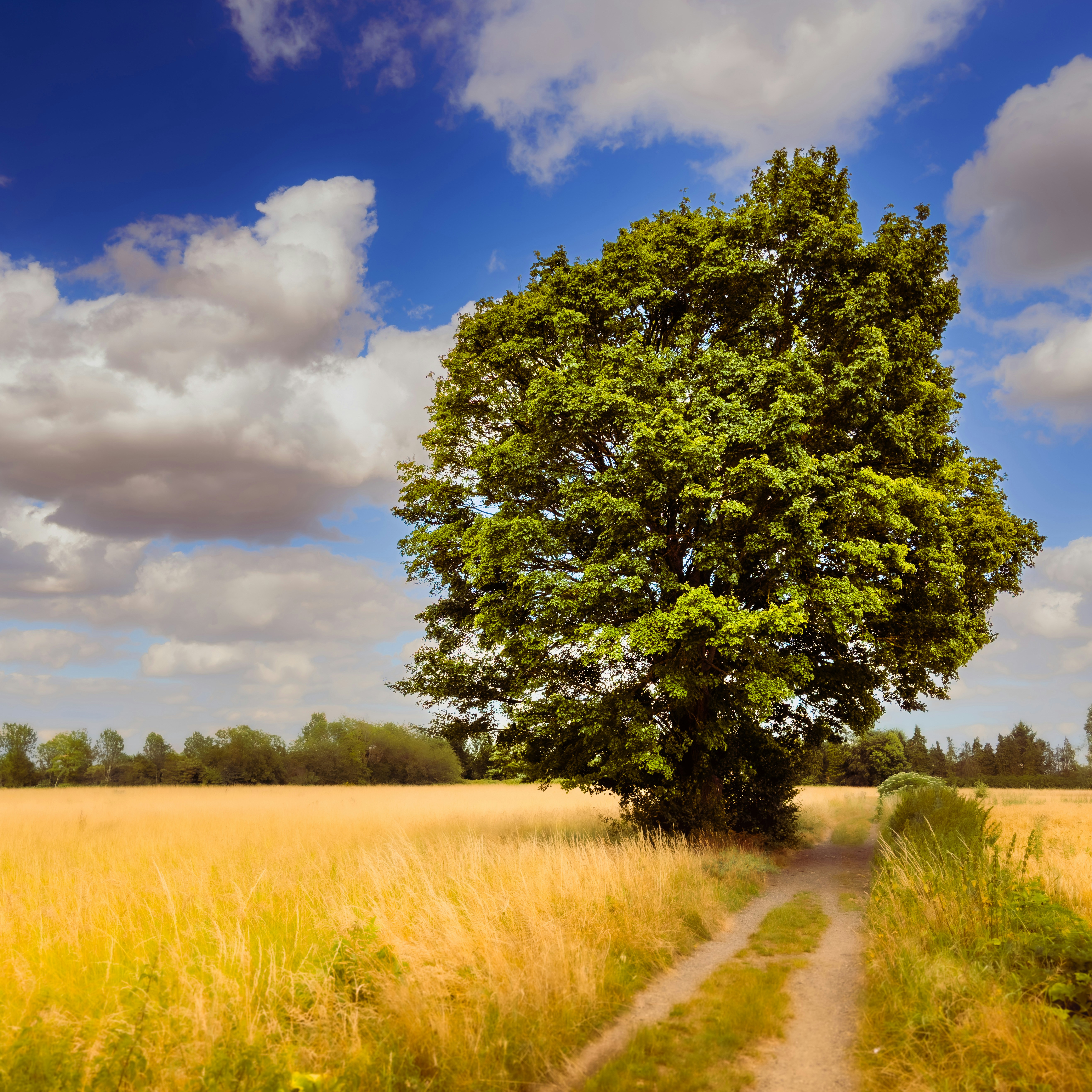 Photo by maverick2001