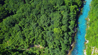Aerial view of a pristine tropical river winding through dense forest.