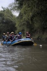 A group of people wearing life jackets and helmets are paddling an inflatable raft down a river. The river is surrounded by lush green foliage, with overhanging trees on both sides. Each person holds a paddle, and they are all focused on navigating through the water.