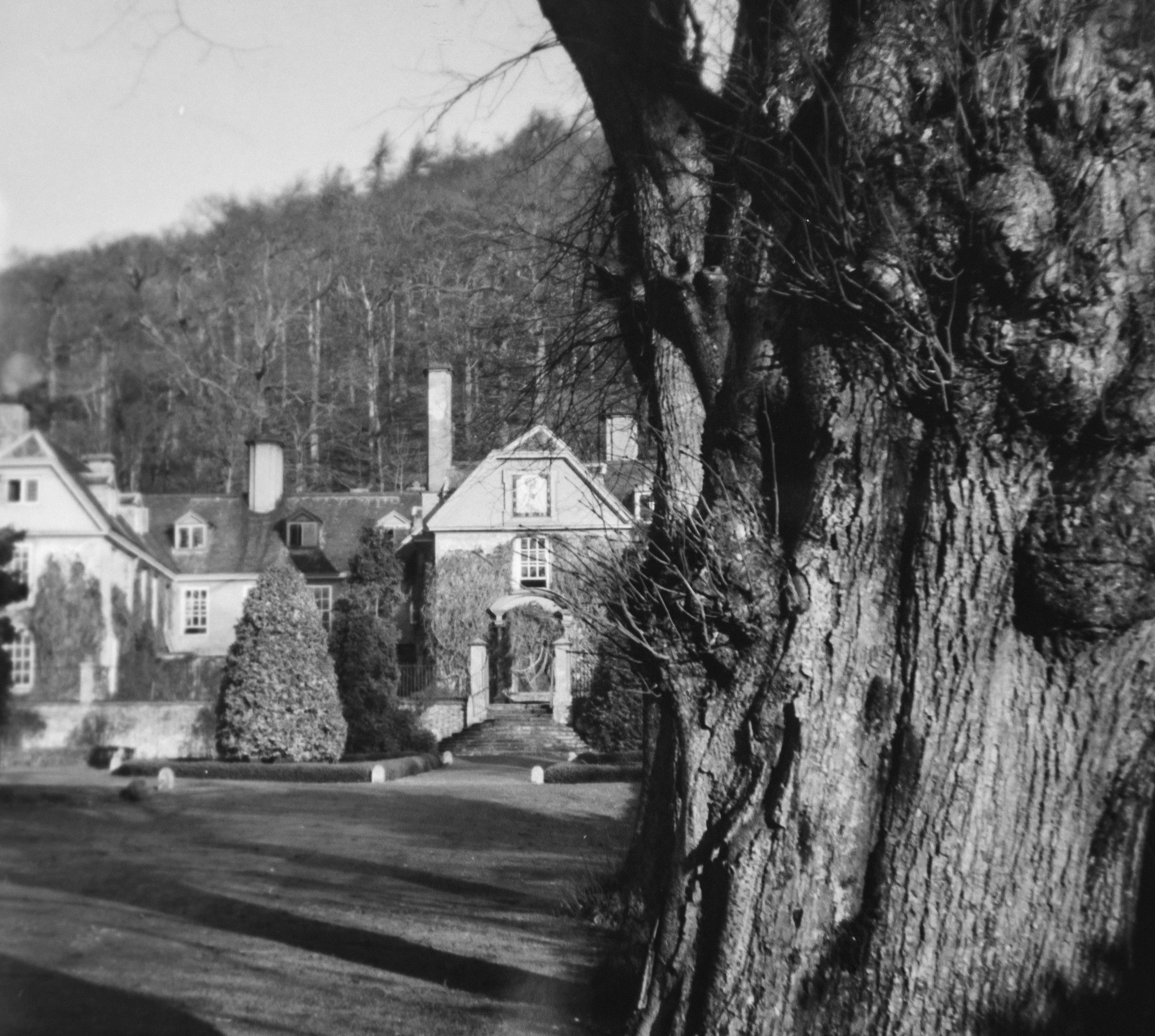 Photo by anniespratt