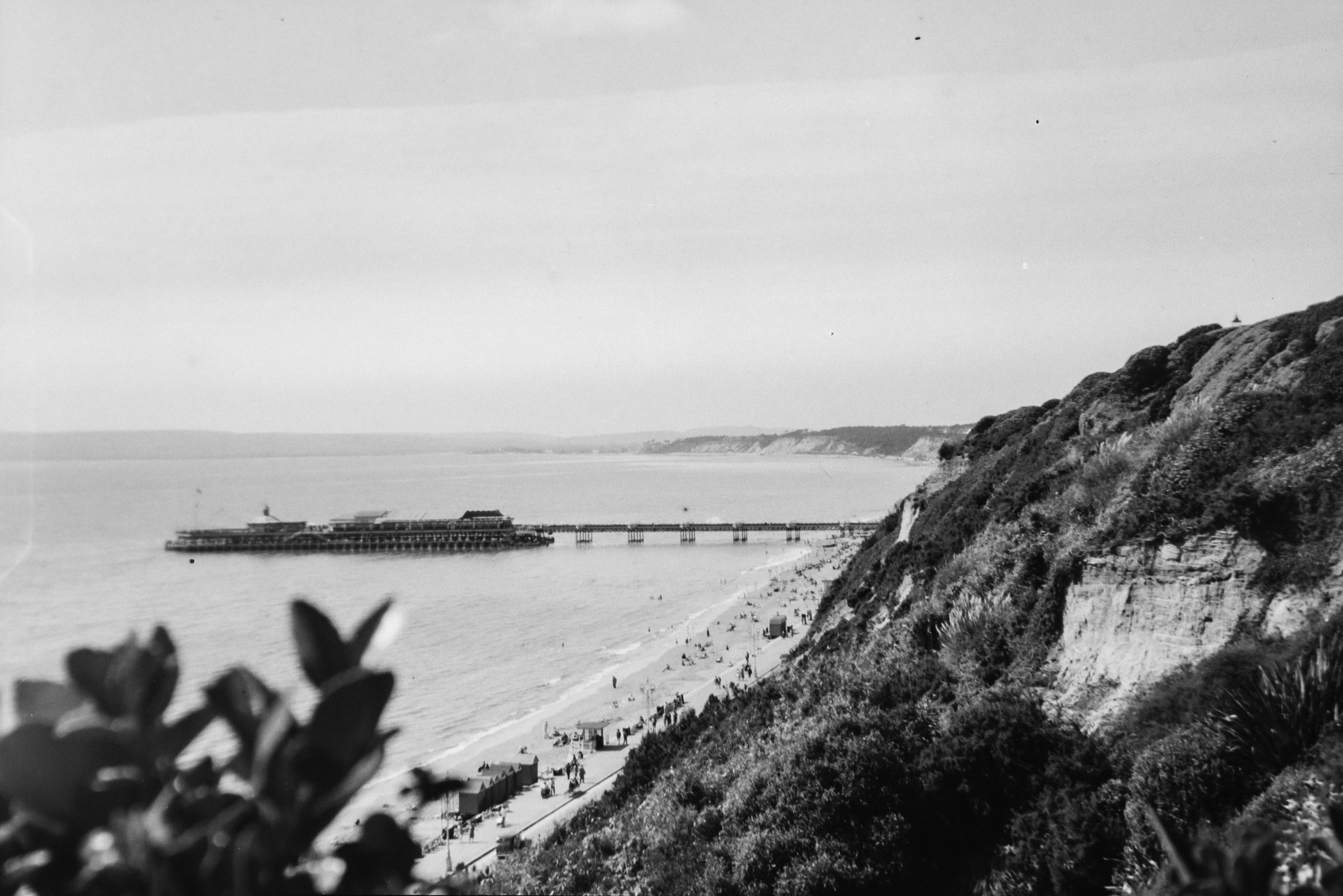 Photo by anniespratt