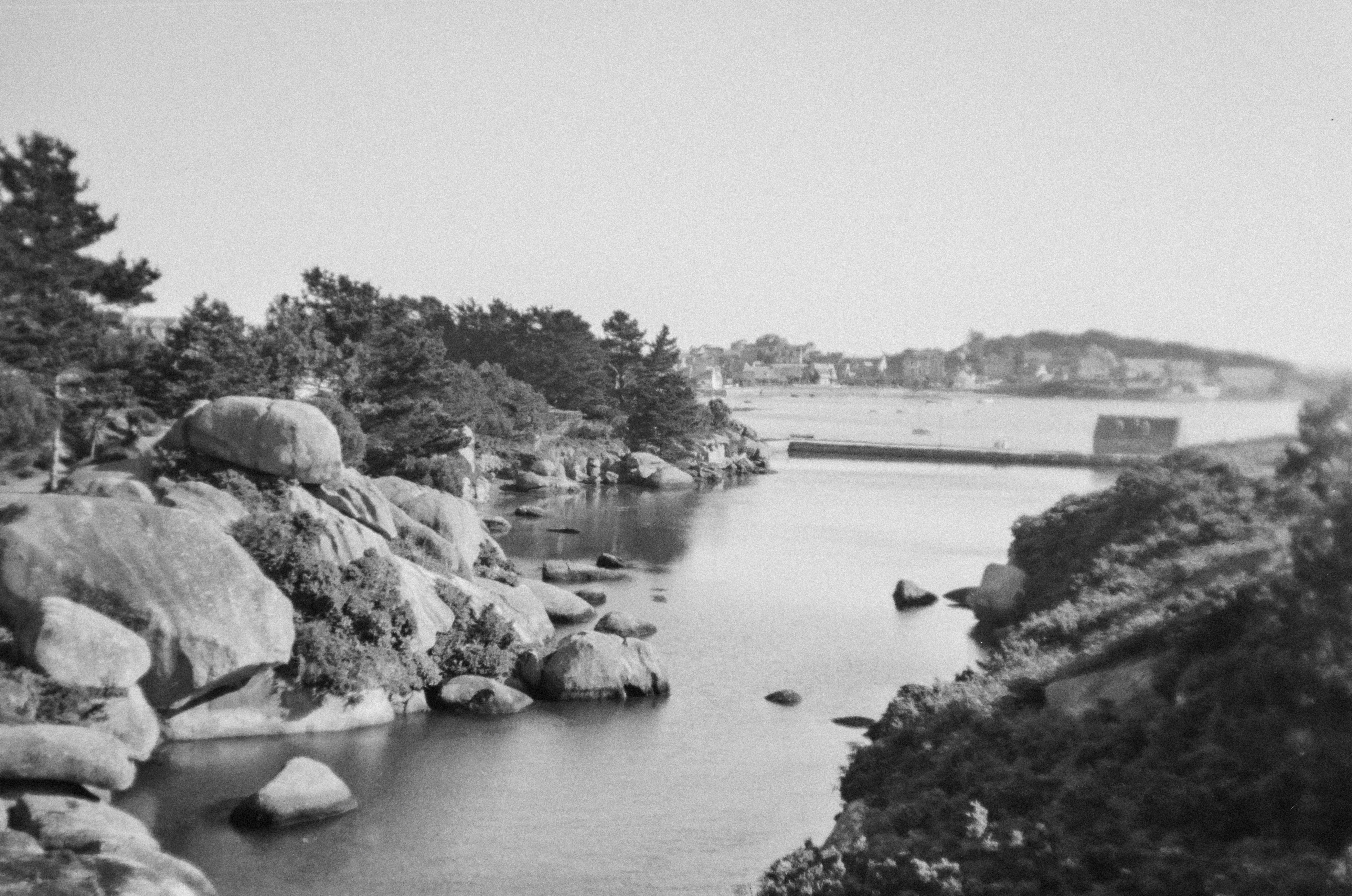 Photo by anniespratt