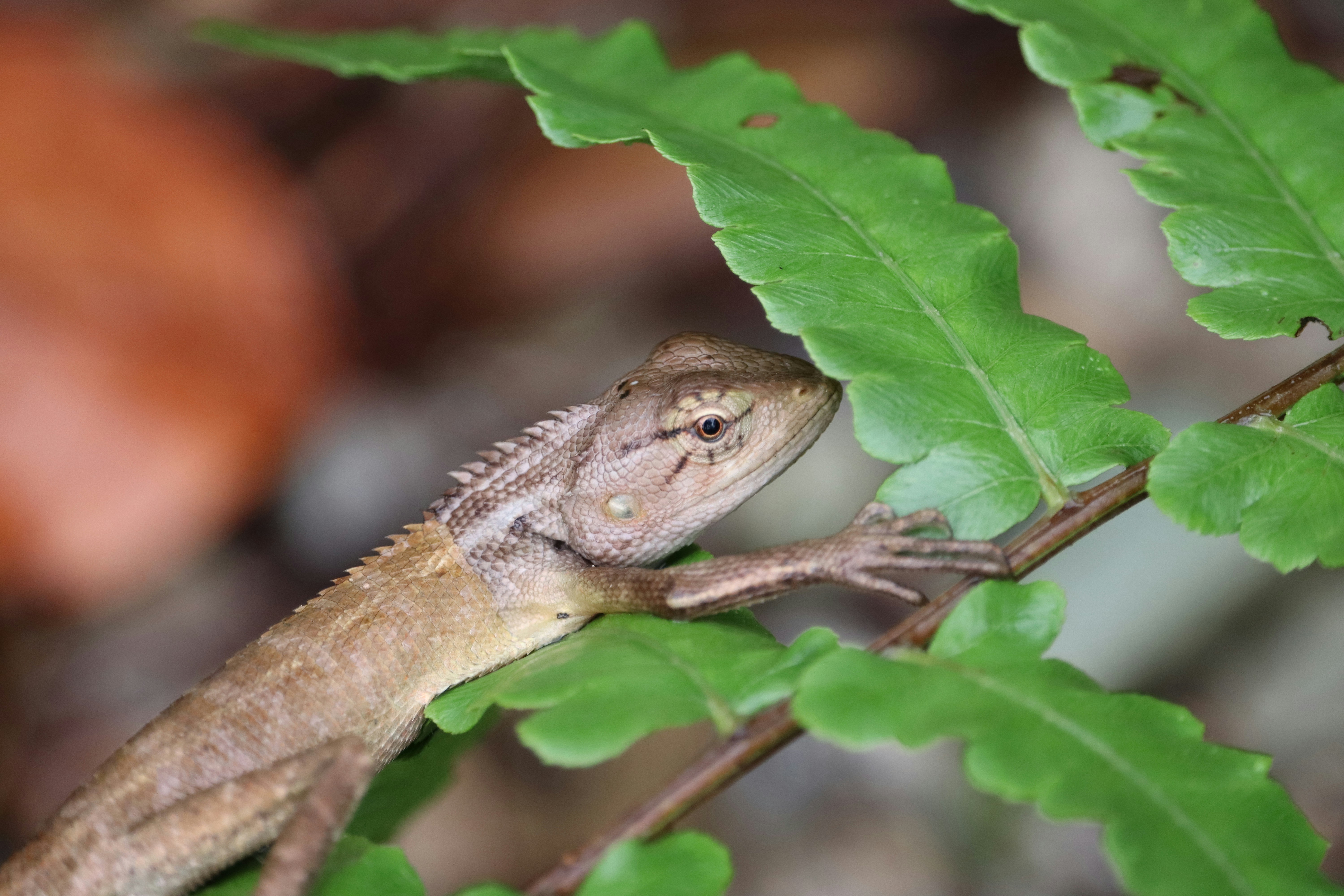 Photo by soonamwooeser