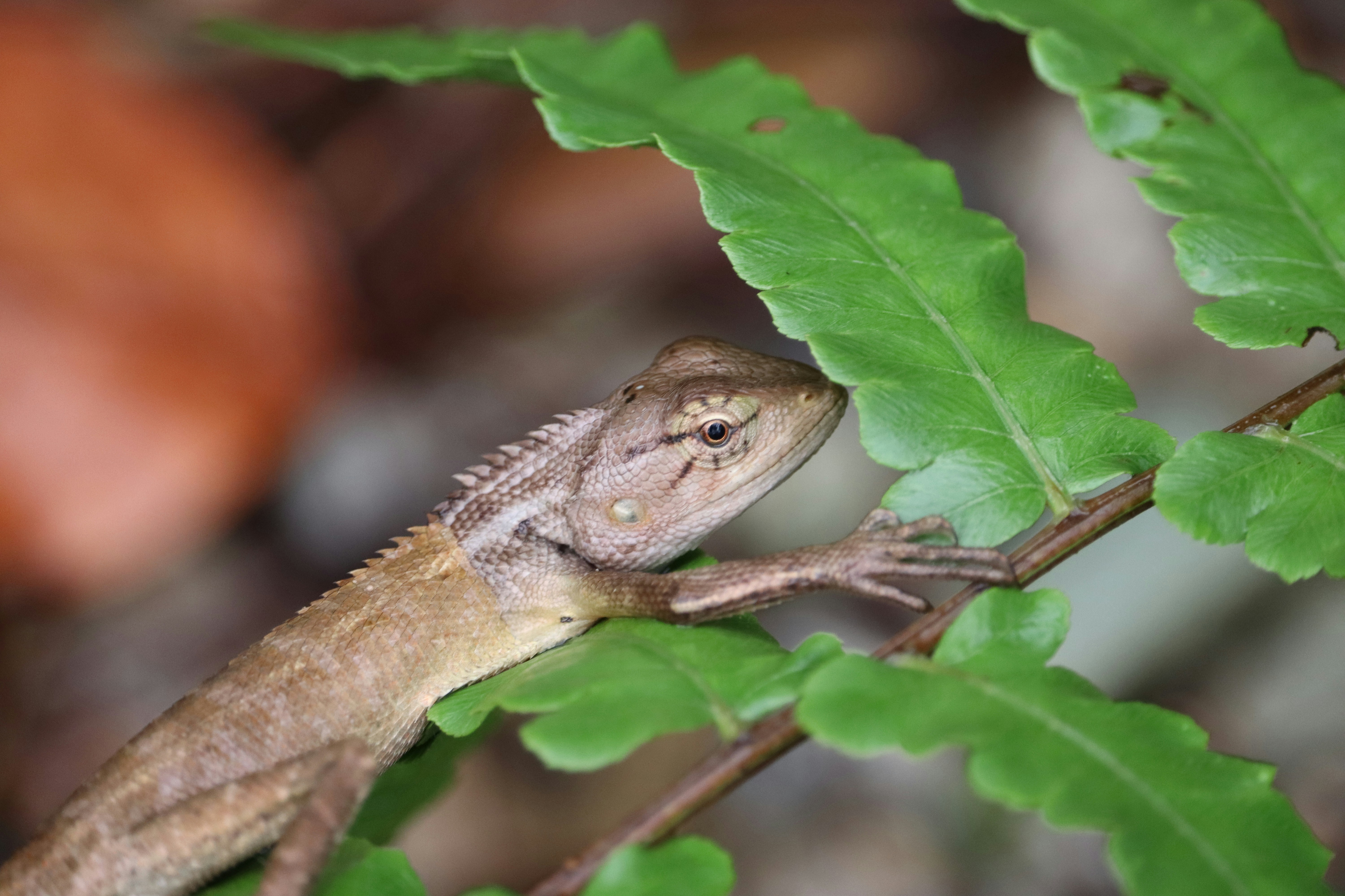 Photo by soonamwooeser