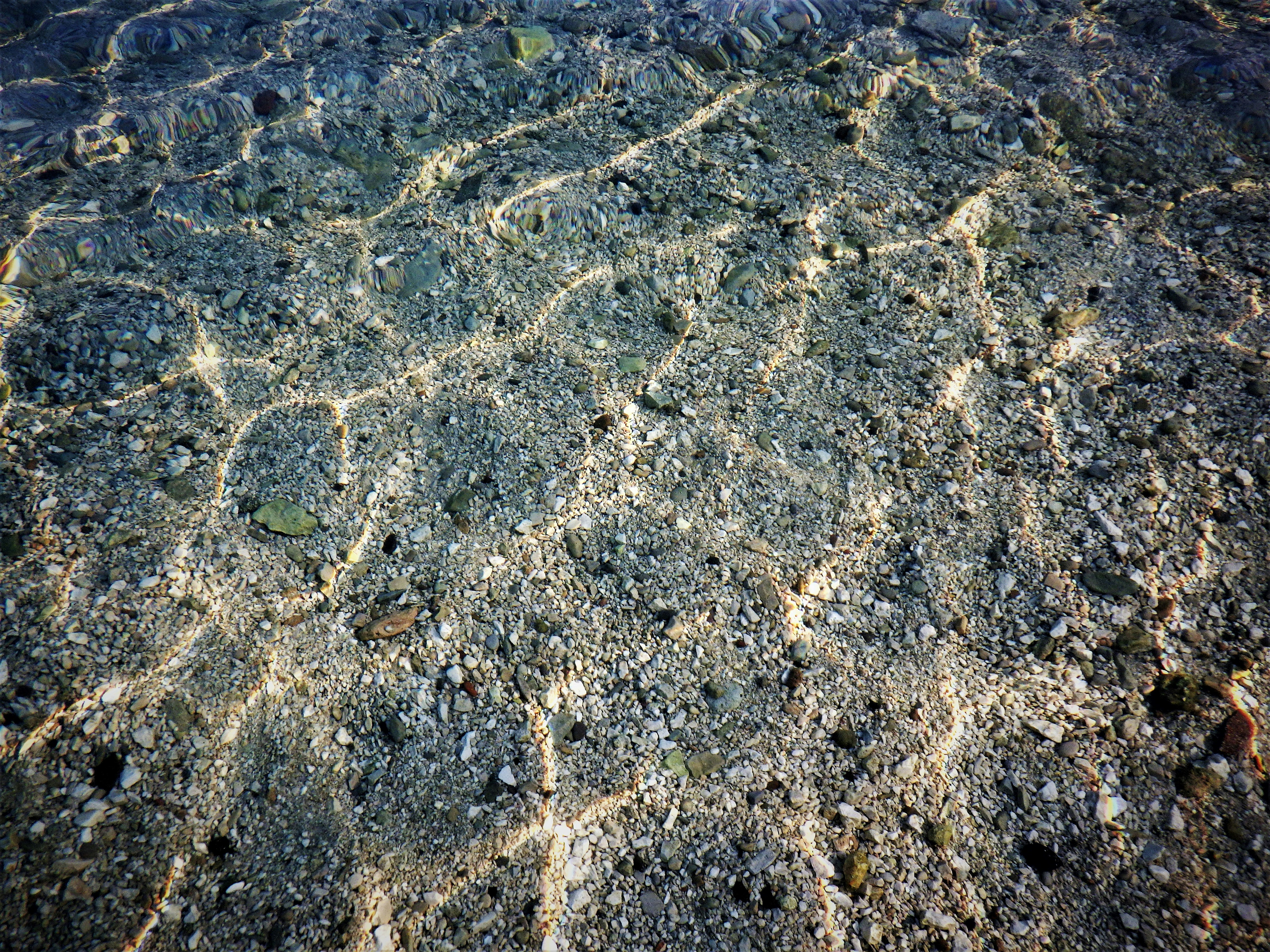 Photo by dominapetric