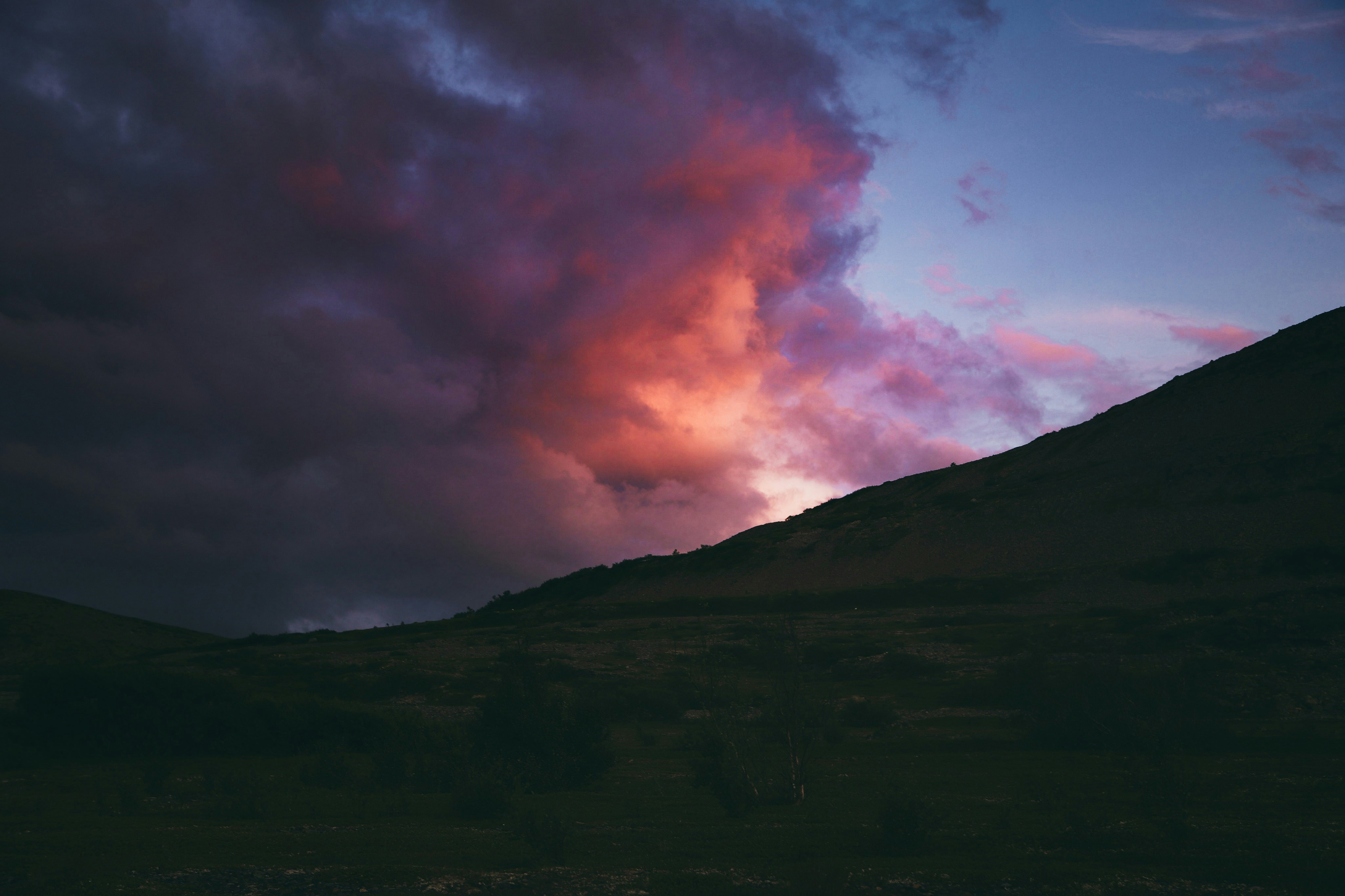 Photo by katslens_ph