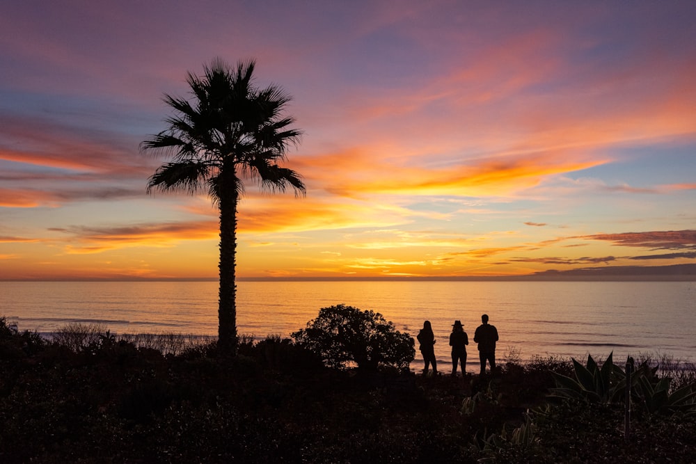 a group of people standing next to a palm tree