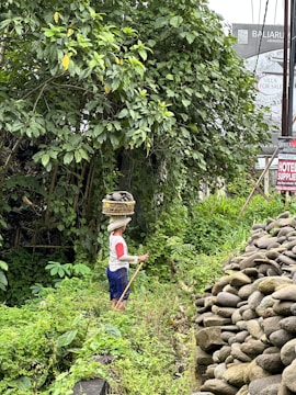 A person wearing a hat carries a basket on their head with some items inside, walking alongside a path bordered by lush green vegetation and a pile of stones. The background includes signs for real estate and hotel supplies amidst thick foliage.