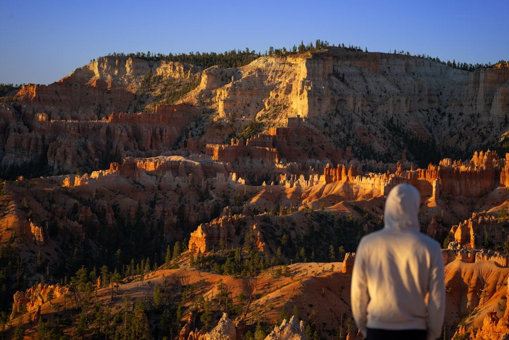 a man standing on top of a cliff next to a forest