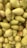 A pile of ripe yellow-green pears with some brown stems visible. The fruits appear fresh and closely packed together, showing a range of light to darker yellow shades with slight red blush on a few.