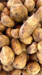 A close-up view of a large pile of potatoes with dirt on their surfaces, showcasing their raw and unprocessed state. Varied in size and shape, the potatoes have a rough texture and earthy appearance.