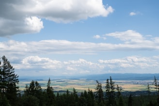 A landscape with a mix of forests and farmland.