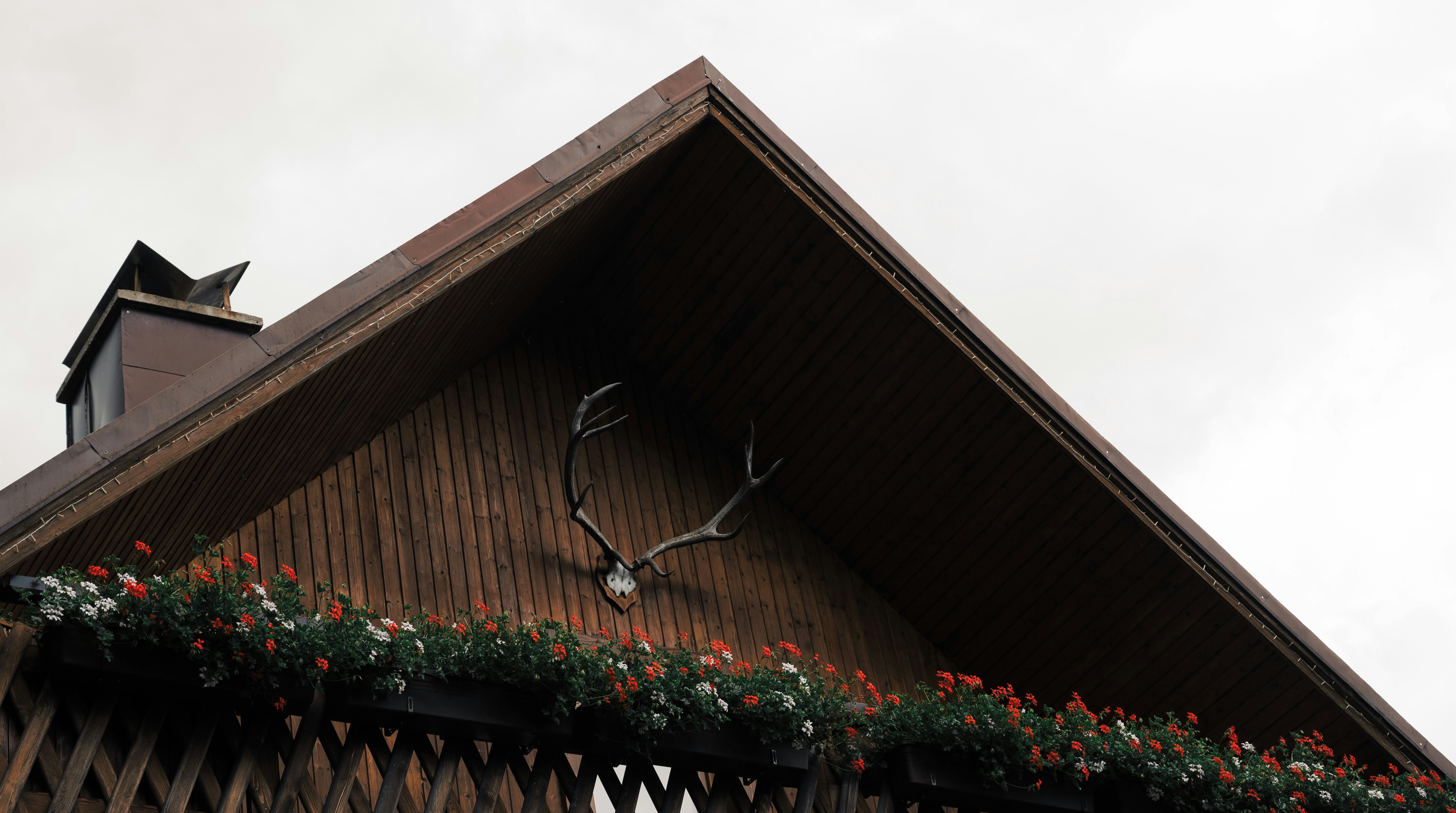 a deer head mounted to the side of a building