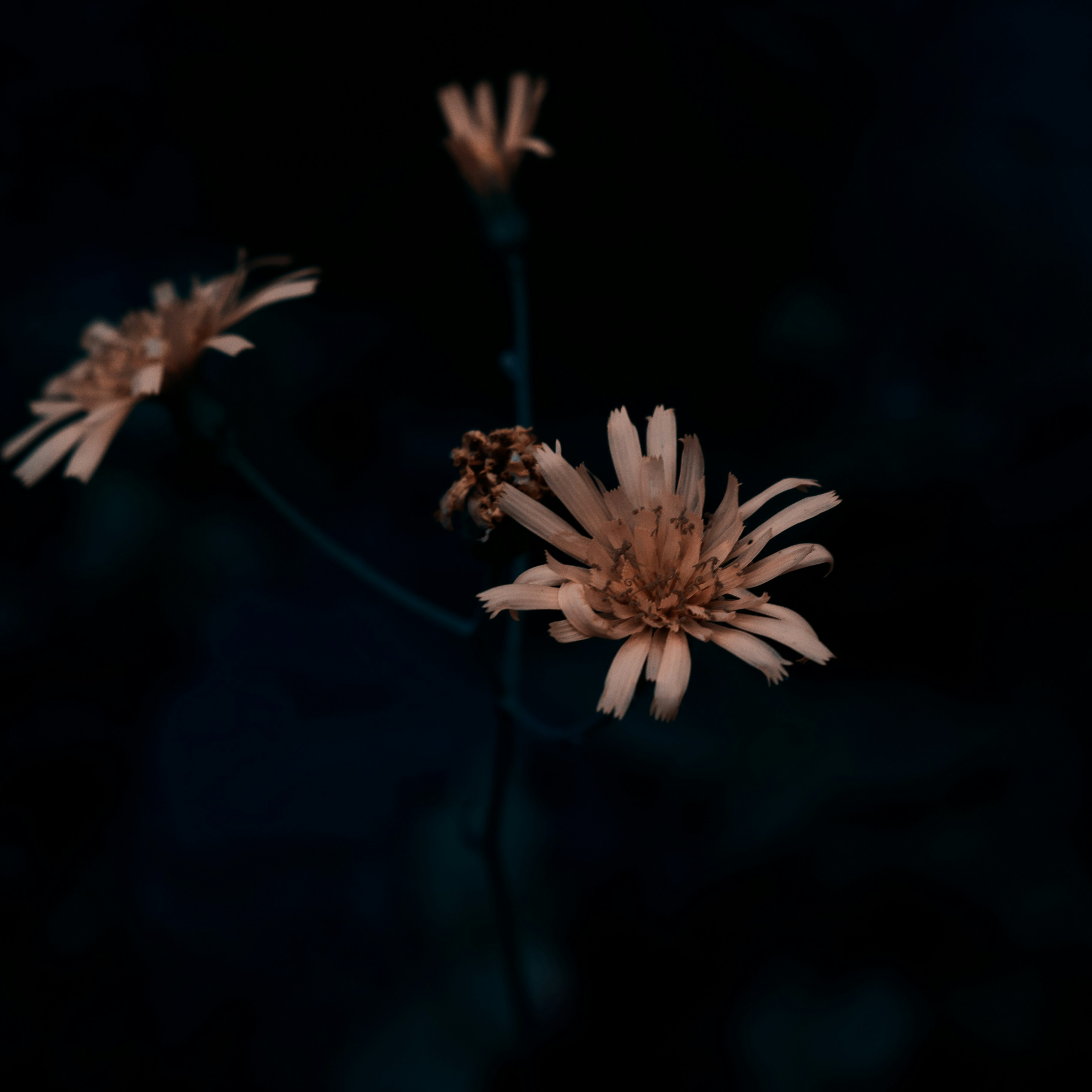 Photo by clearvision_95