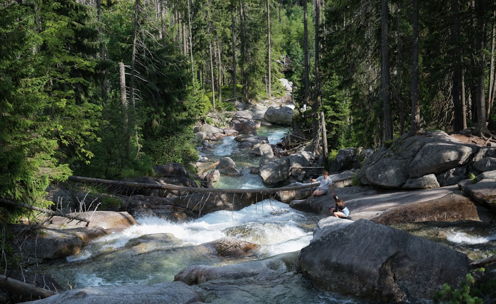 a person standing on a rock in the middle of a river