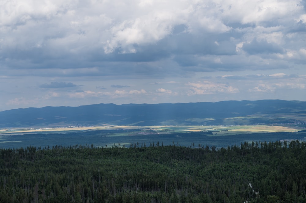 a view of a forest with mountains in the distance