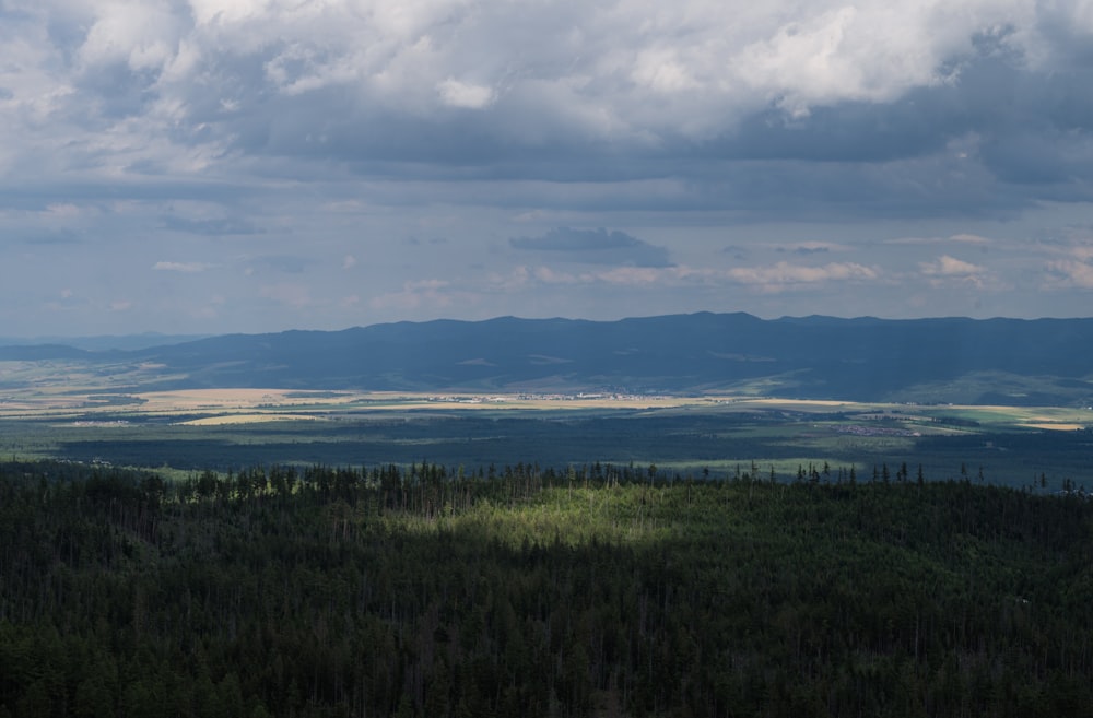 a view of a forest with mountains in the distance