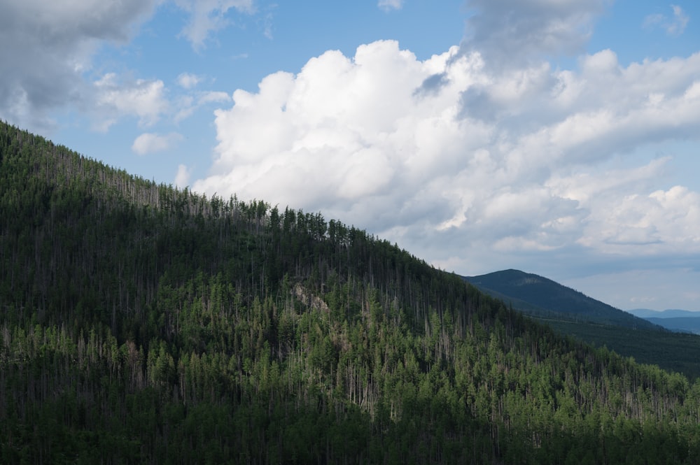 a mountain covered in trees under a cloudy sky