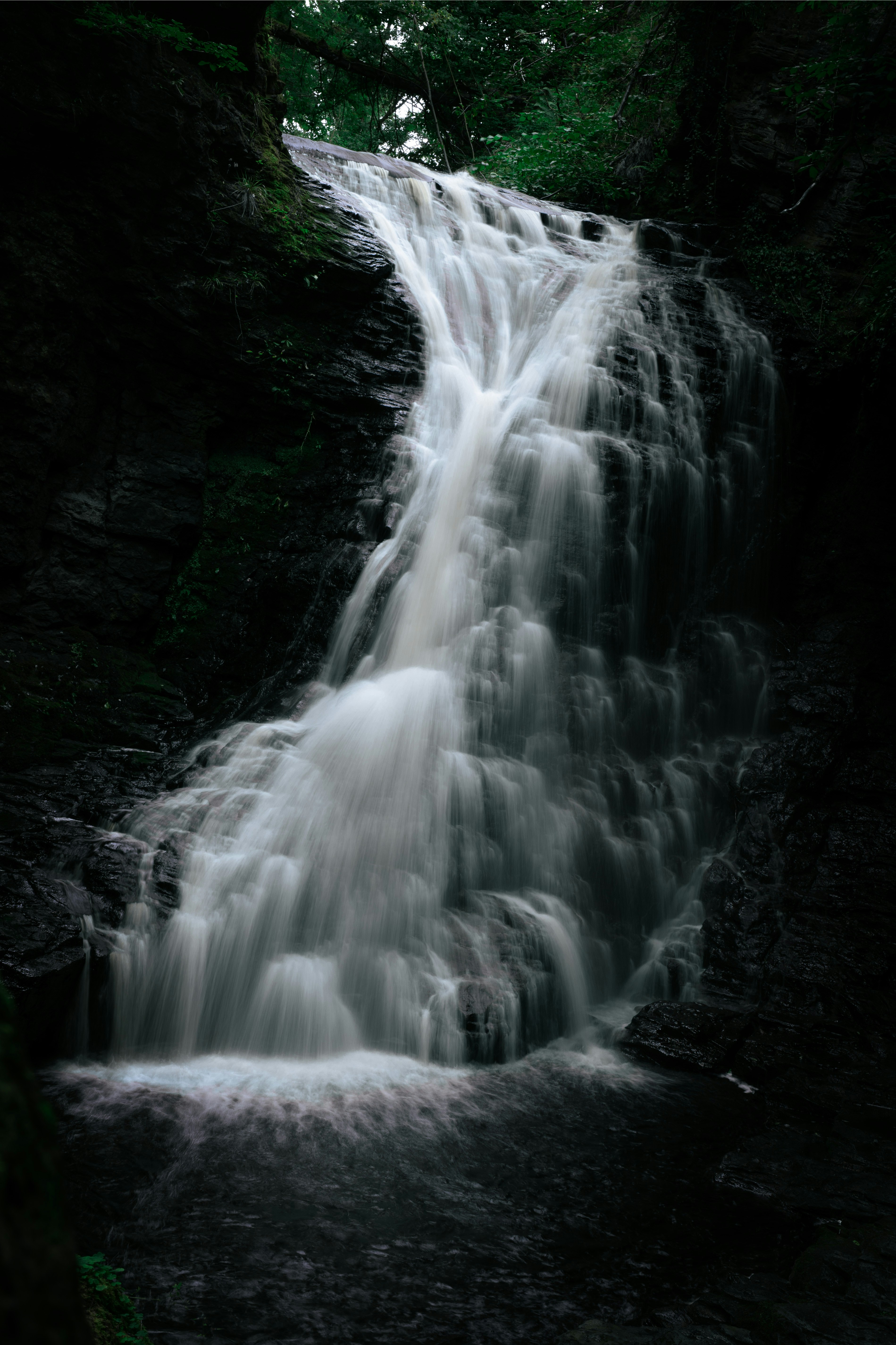 Photo by melatonical