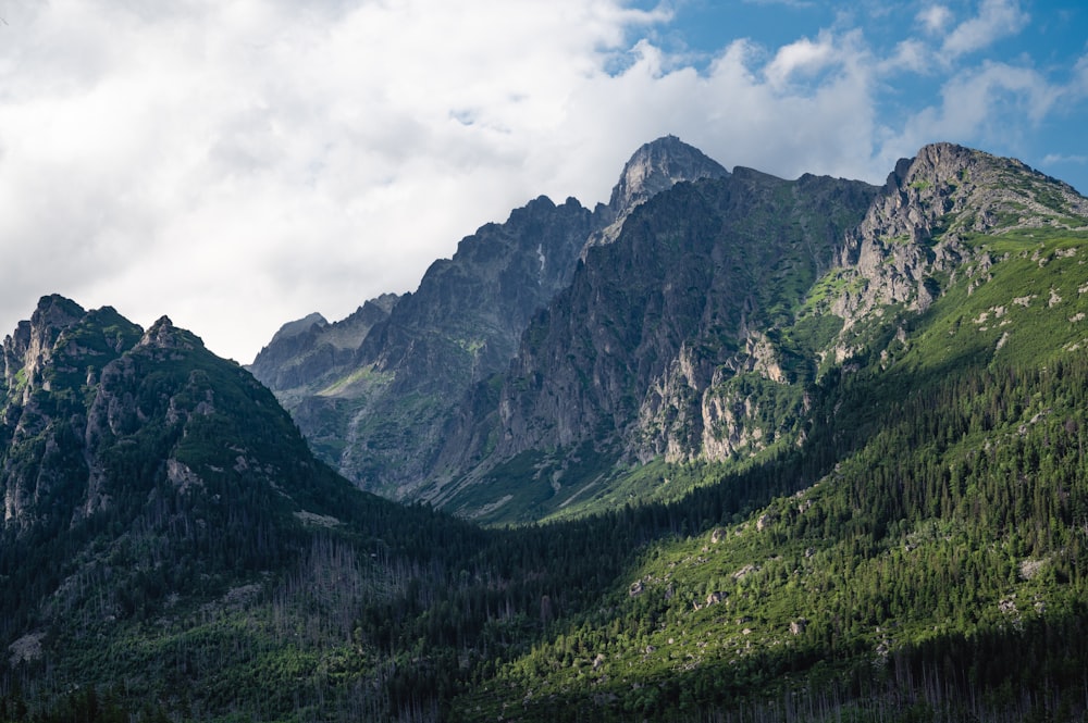 a mountain range with trees and mountains in the background