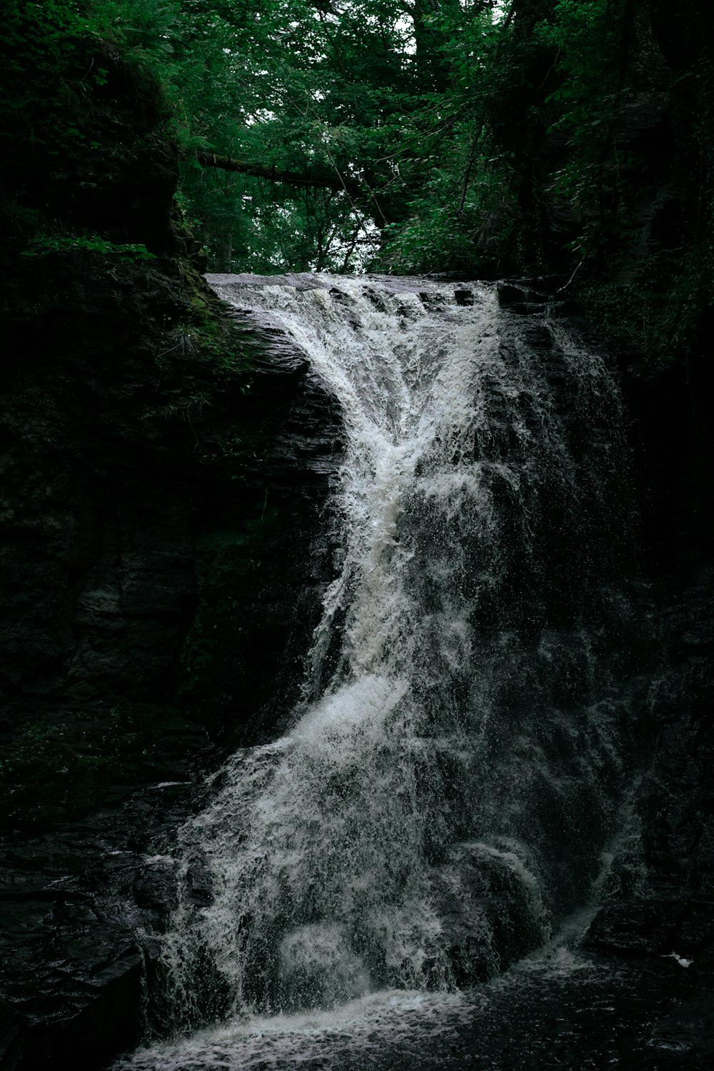 a waterfall in the middle of a forest