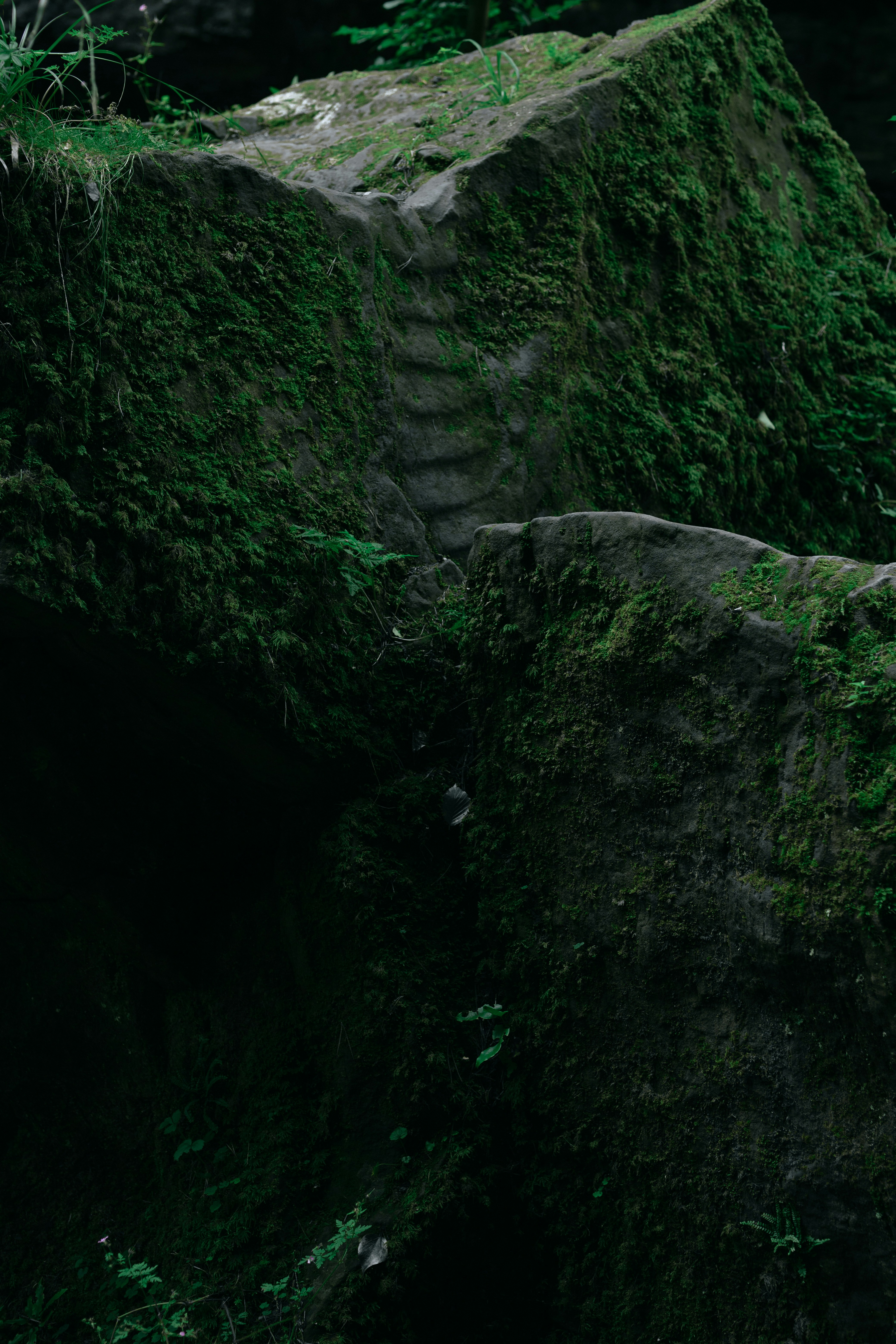 Photo by melatonical